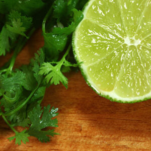 Cilantro Lime - Infused Olive Oil