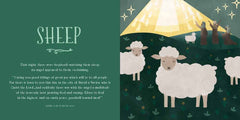 From Eden to Bethlehem - Board Book