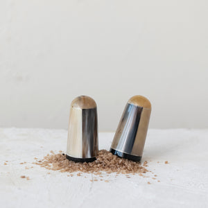 Horn Salt Shakers