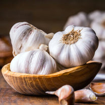 Fresh Garlic - Infused Olive Oil