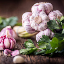 Garlic Cilantro - Dark Balsamic Vinegar