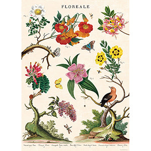 Vintage Floral &amp; Botanical Posters