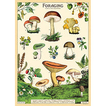 Vintage Floral &amp; Botanical Posters