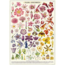 Vintage Floral &amp; Botanical Posters