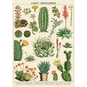 Vintage Floral &amp; Botanical Posters