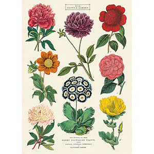 Vintage Floral &amp; Botanical Posters