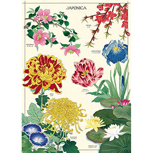Vintage Floral &amp; Botanical Posters