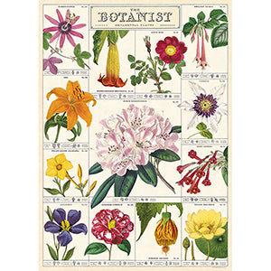 Vintage Floral &amp; Botanical Posters