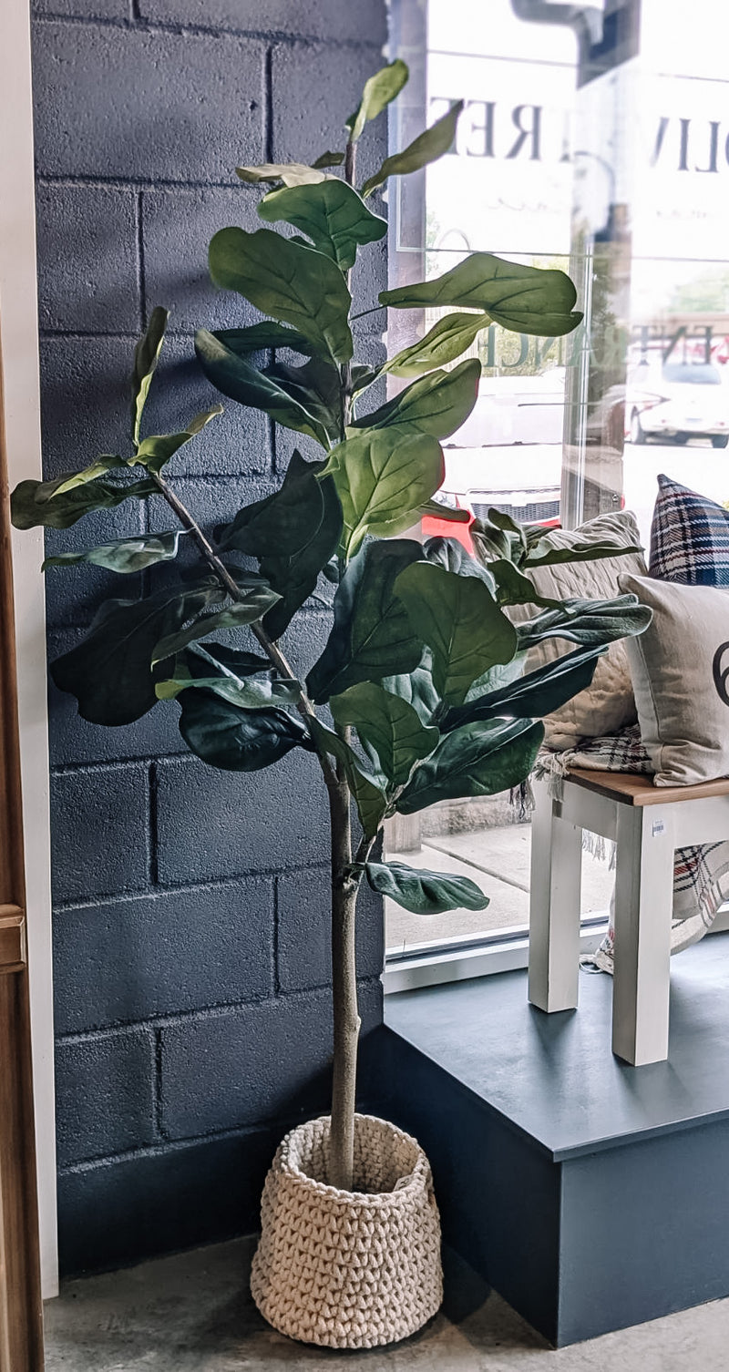 Fiddle Leaf Tree