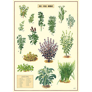 Vintage Floral &amp; Botanical Posters