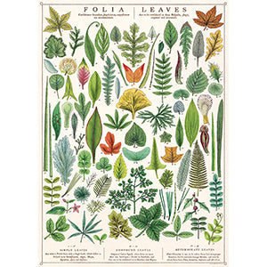 Vintage Floral &amp; Botanical Posters