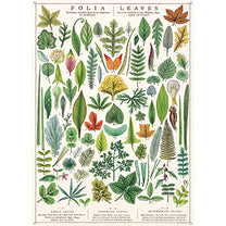 Vintage Floral &amp; Botanical Posters