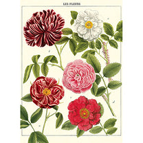 Vintage Floral &amp; Botanical Posters