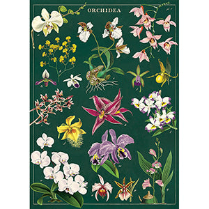 Vintage Floral &amp; Botanical Posters