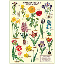 Vintage Floral &amp; Botanical Posters
