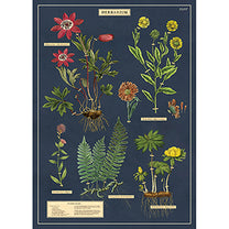 Vintage Floral &amp; Botanical Posters