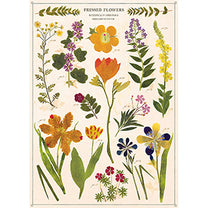 Vintage Floral &amp; Botanical Posters