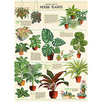 Vintage Floral &amp; Botanical Posters
