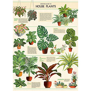 Vintage Floral &amp; Botanical Posters