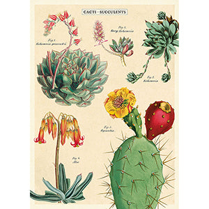 Vintage Floral &amp; Botanical Posters