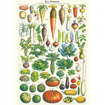 Vintage Floral &amp; Botanical Posters