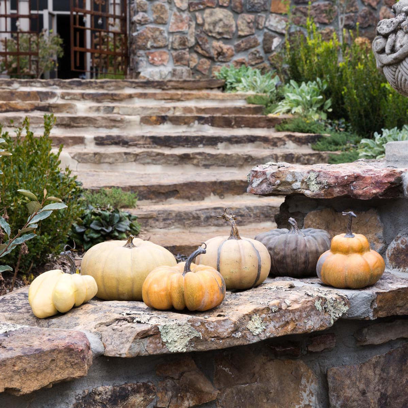 French Pumpkins