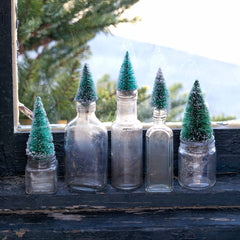 Vintage Bottlebrush Tree Bottles