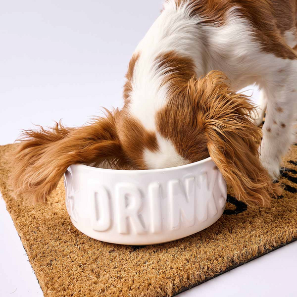 Dinner &amp; Drink Dog Bowl Set