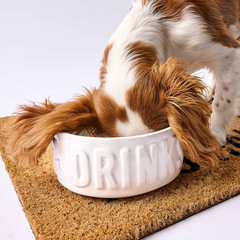 Dinner & Drink Dog Bowl Set