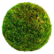 Moss Balls
