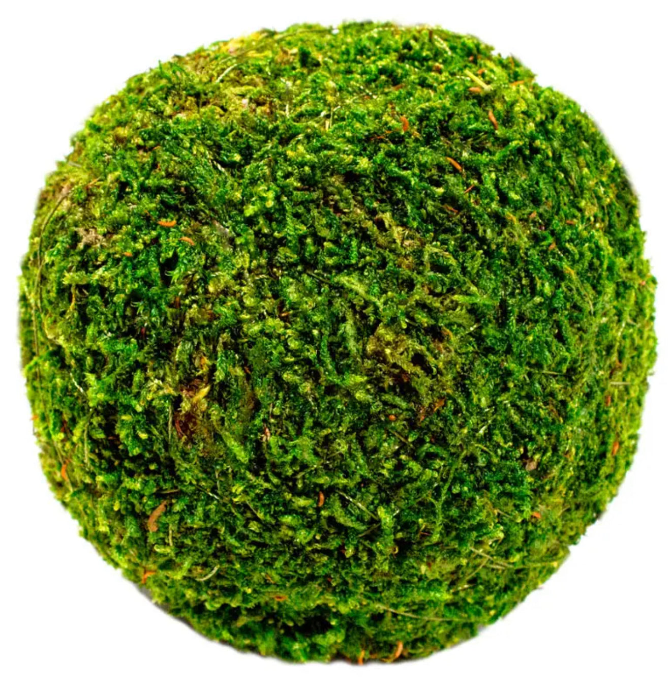 Moss Balls