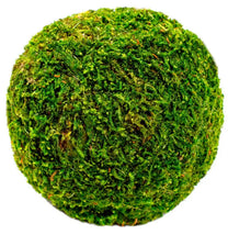 Moss Balls