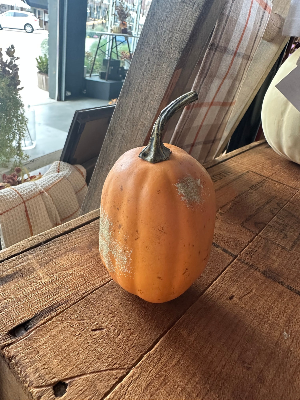 Mini Pumpkins