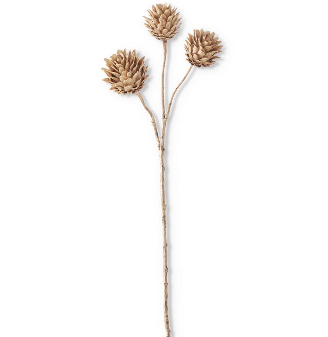 Artichoke Stem