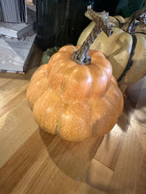 Load image into Gallery viewer, French Pumpkins