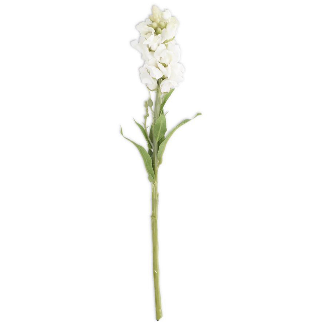 White Flower Stem