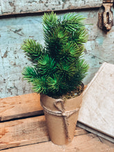 Load image into Gallery viewer, Mini Tree