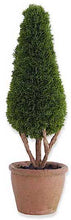 Load image into Gallery viewer, Cypress Topiary
