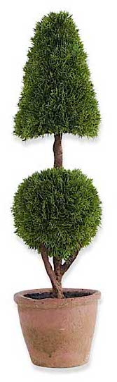 Cypress Topiary