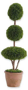 Cypress Topiary
