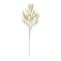 Baby’s Breath