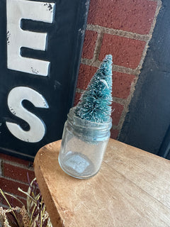 Vintage Bottlebrush Tree Bottles