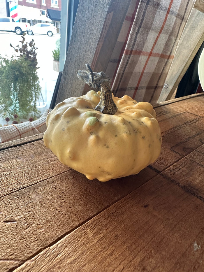 Mini Pumpkins