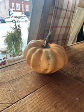 Load image into Gallery viewer, Mini Pumpkins