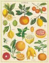 Load image into Gallery viewer, Vintage Puzzle