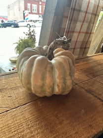 Mini Pumpkins