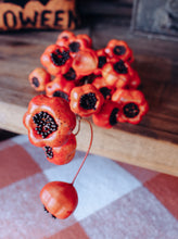 Load image into Gallery viewer, Orange Fig Stem