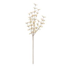 Load image into Gallery viewer, Dried Eucalyptus