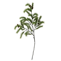 Pine Branch
