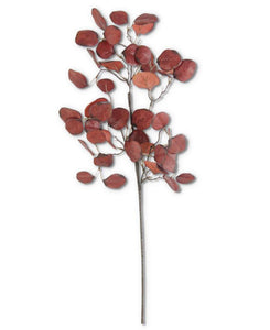 Gumdrop Eucalyptus